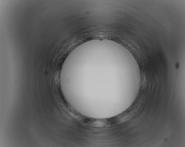 X0000097630236200802290852