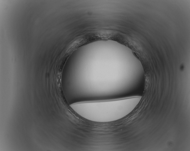X0000097630237200802290852