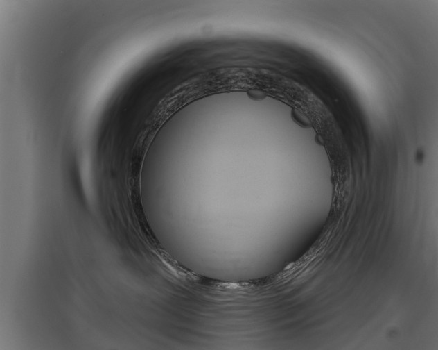 X0000097630239200802290851