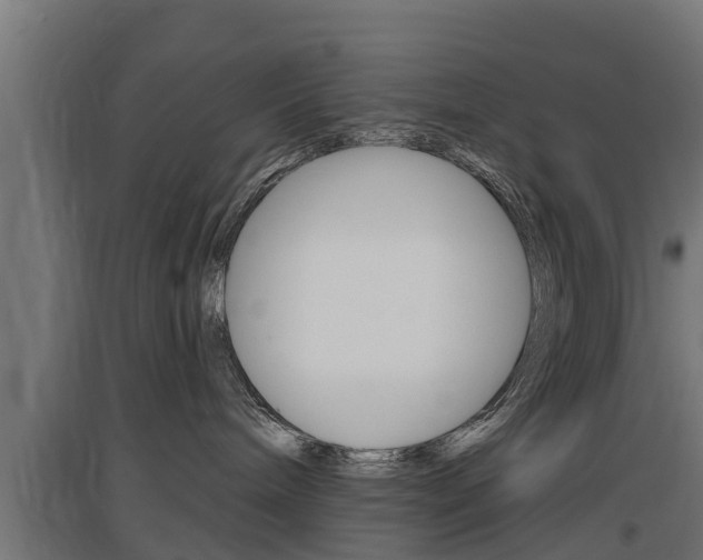 X0000097630240200802290851