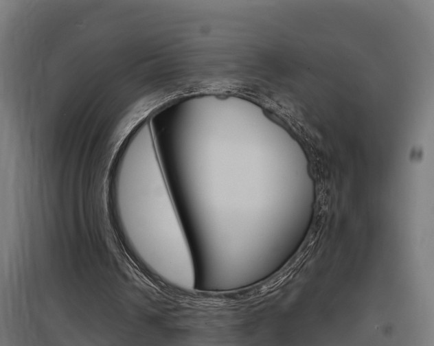 X0000097630242200802290851