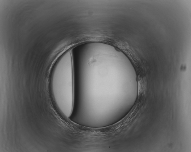 X0000097630243200802290851