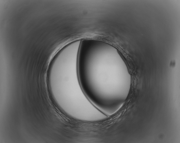 X0000097630244200802290851