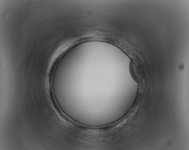 X0000097630245200802290851
