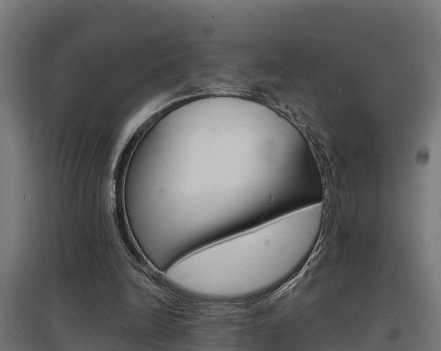 X0000097630246200802290851