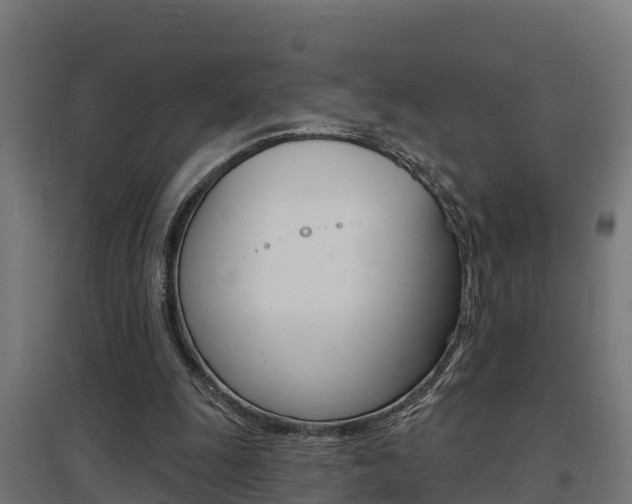 X0000097630247200802290851