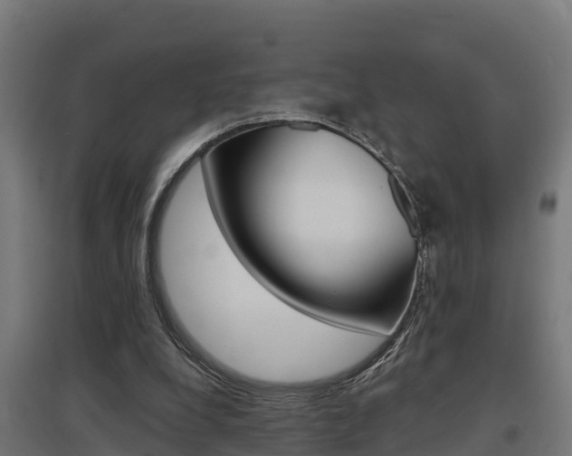 X0000097630248200802290851