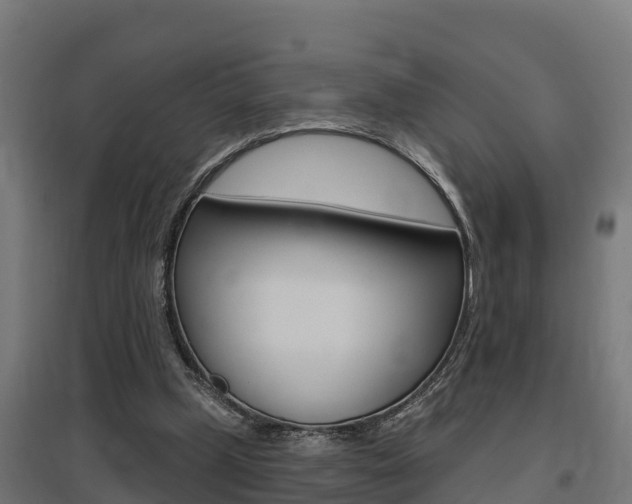 X0000097630249200802290851