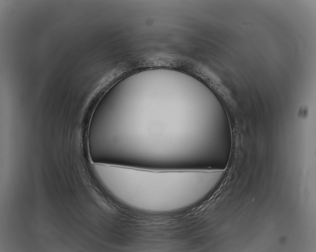 X0000097630250200802290851