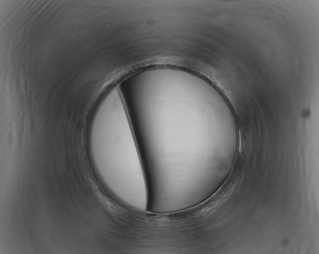 X0000097630253200802290851