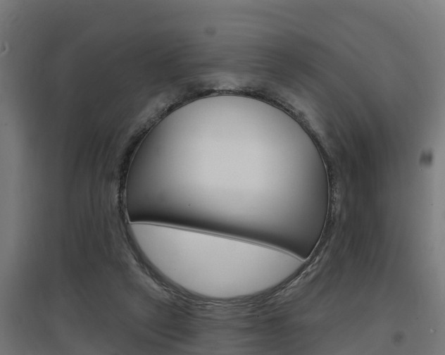 X0000097630257200802290851