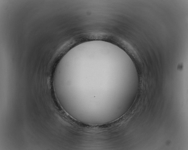 X0000097630258200802290851