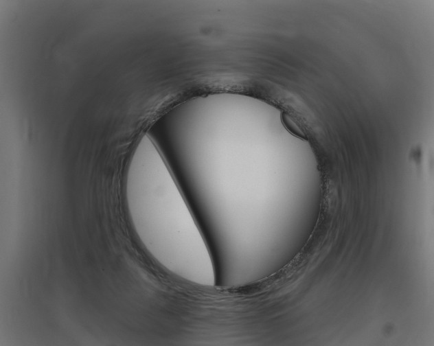 X0000097630259200802290851