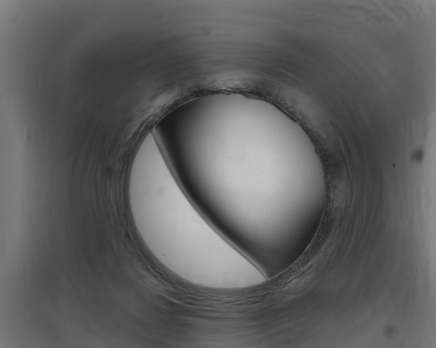 X0000097630260200802290851