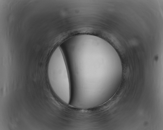 X0000097630261200802290851