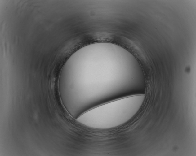 X0000097630263200802290851