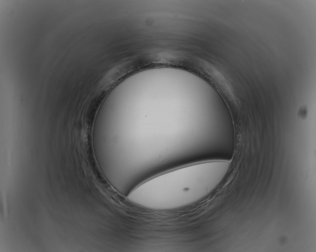 X0000097630265200802290851