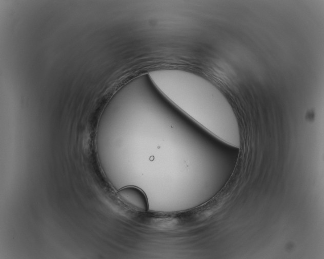 X0000097630266200802290851