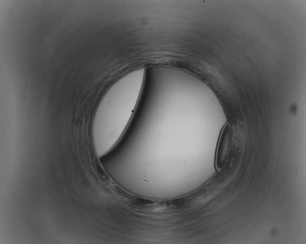 X0000097630267200802290851