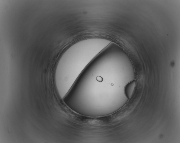 X0000097630268200802290851