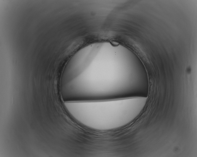 X0000097630269200802290851