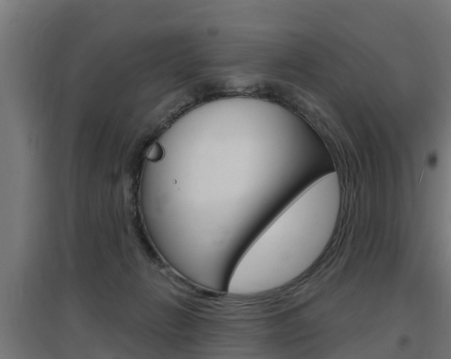 X0000097630270200802290851