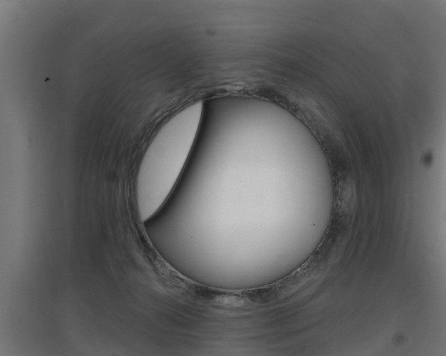 X0000097630272200802290851
