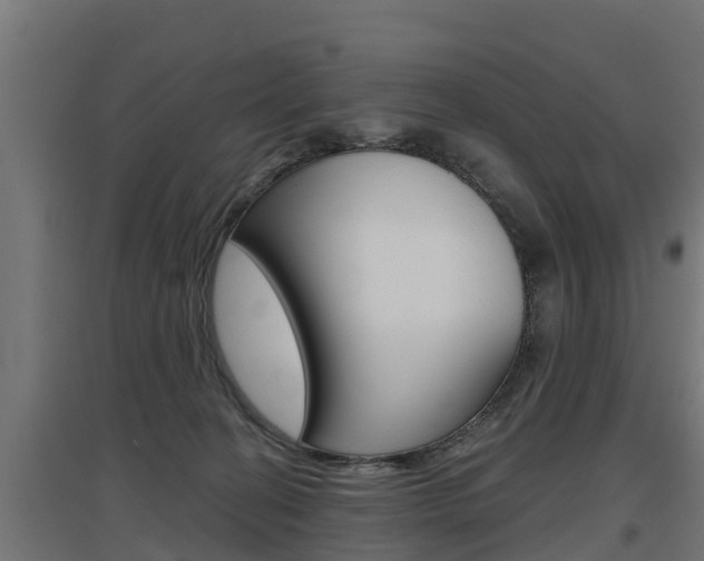 X0000097630274200802290851
