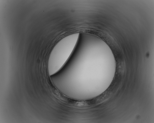 X0000097630275200802290851