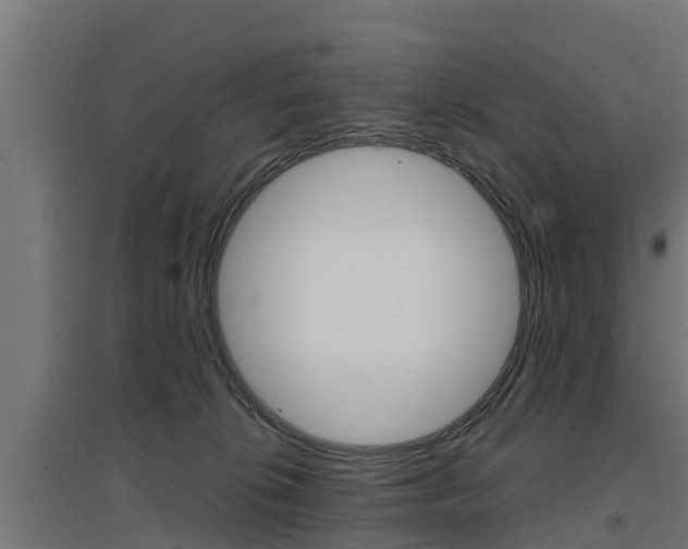 X0000097630276200802290851