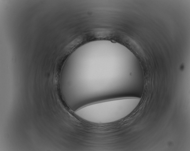 X0000097630277200802290851