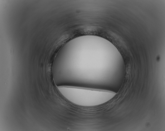 X0000097630278200802290851
