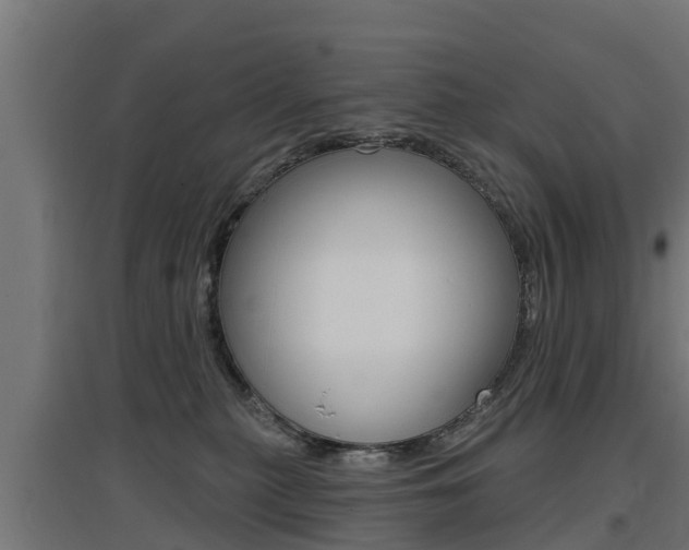 X0000097630279200802290851