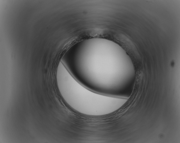 X0000097630280200802290851