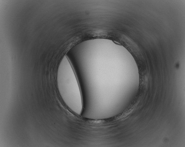 X0000097630281200802290851