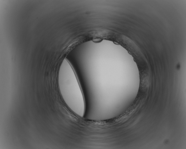 X0000097630282200802290851
