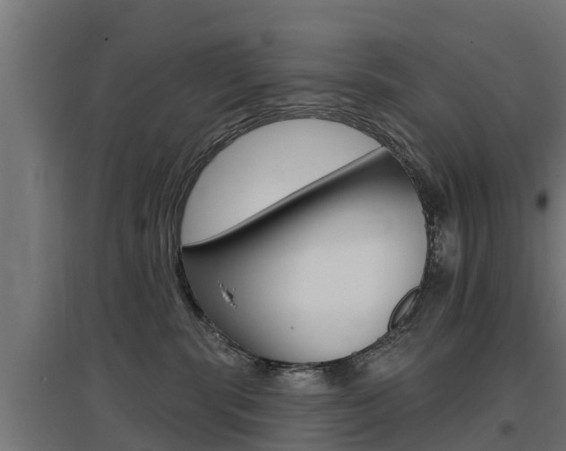X0000097630283200802290851