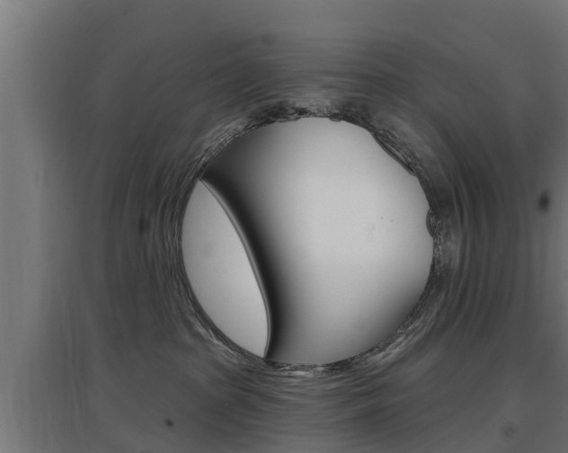X0000097630285200802290851
