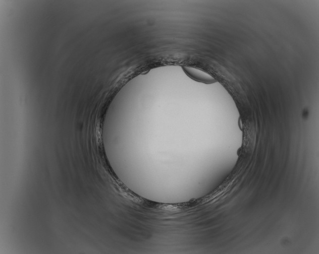 X0000097630287200802290851
