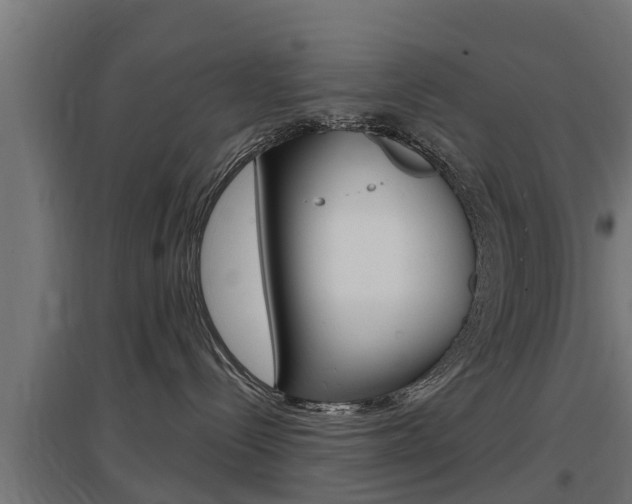 X0000097630288200802290851
