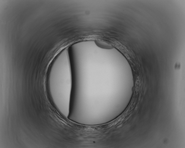 X0000097630290200802290851