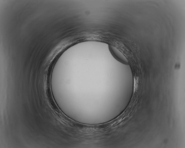 X0000097630291200802290851