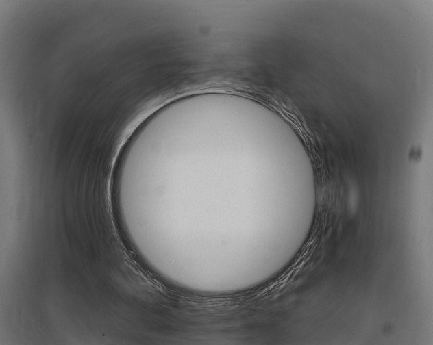 X0000097630292200802290851