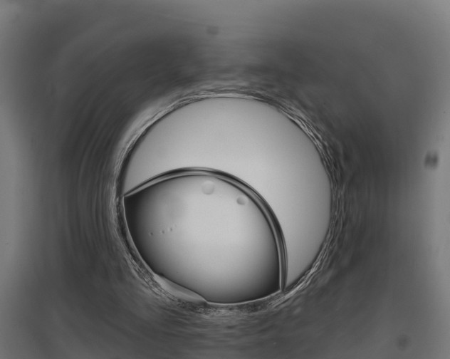 X0000097630293200802290851
