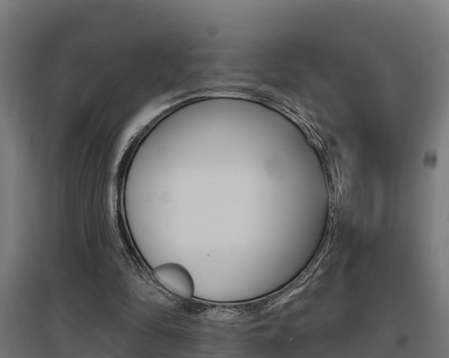 X0000097630294200802290851