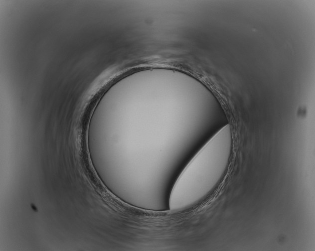 X0000097630295200802290851