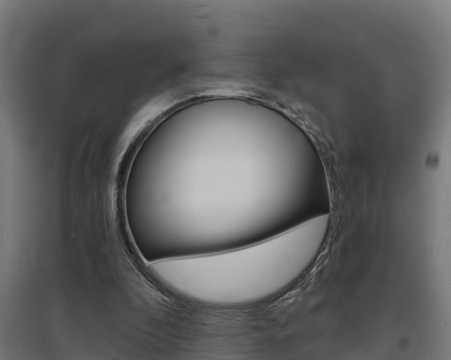 X0000097630296200802290851