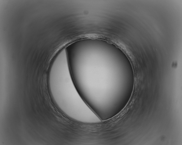 X0000097630297200802290851