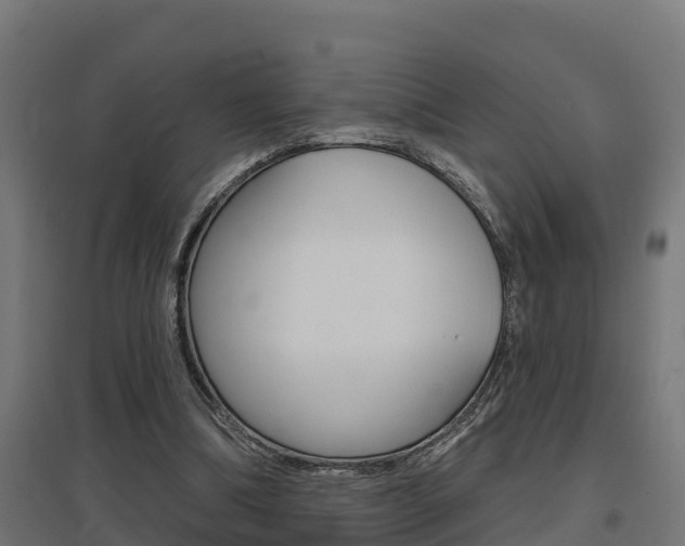 X0000097630298200802290851