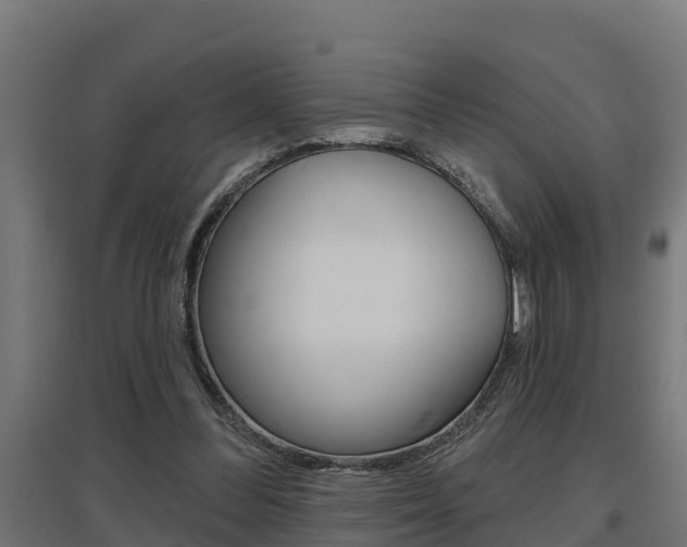 X0000097630300200802290851